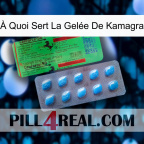 À Quoi Sert La Gelée De Kamagra new03